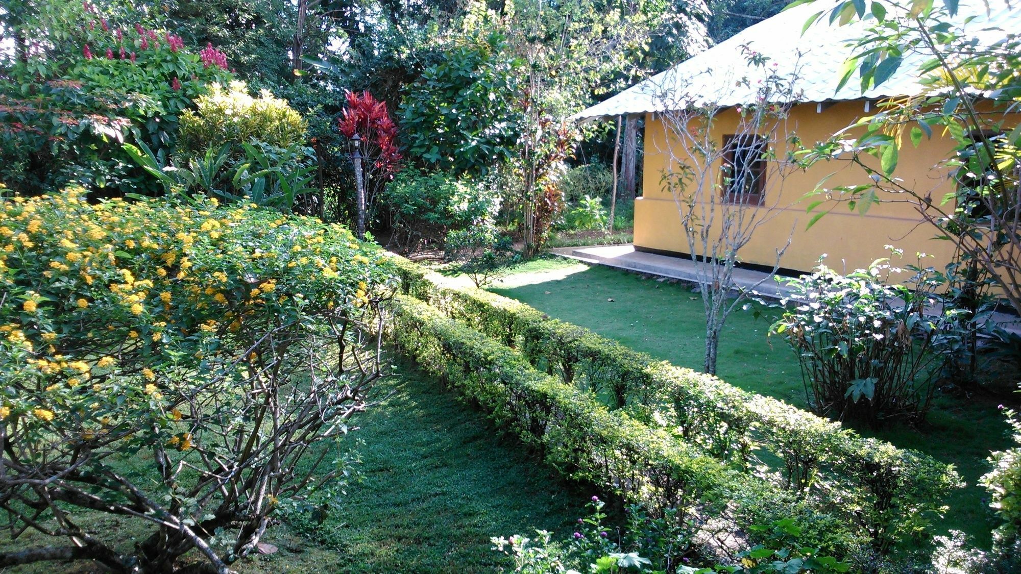 Sunnyside Holiday Bungalow Ella Extérieur photo